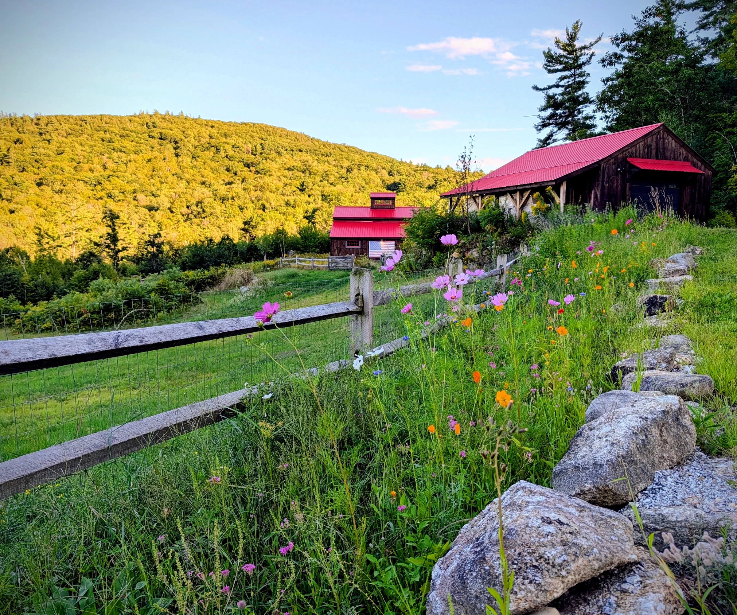 Red-roof farm buildings beside a wildflower garden, wooden fence, and stone wall, with wooded hills beyond