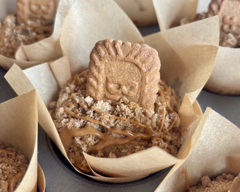 Cookie Butter Muffins